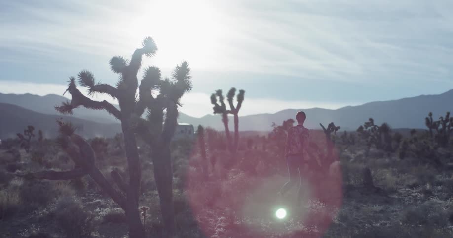 Woman walks in the desert on a sunny day
