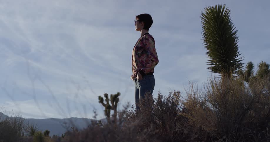 A woman looks out over the desert