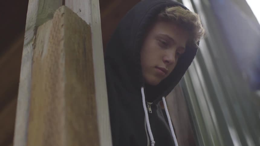 Child sits in a tree house looking down