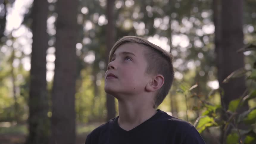 A boy looks around in a forest