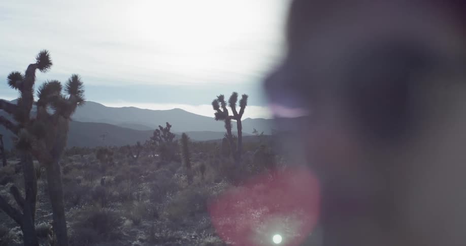 A woman standing outside at sunset with cactus and mountains around her