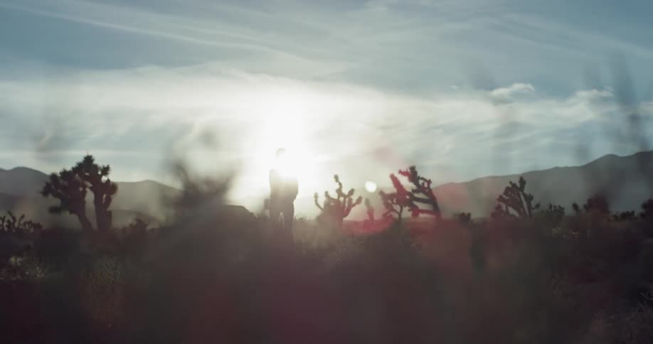 A woman walks alone in a desert