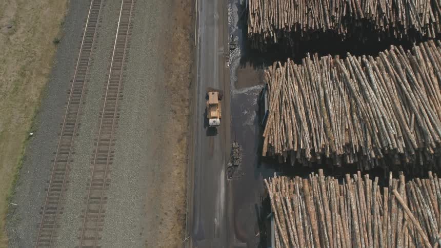 Truck drives past many rows of logs