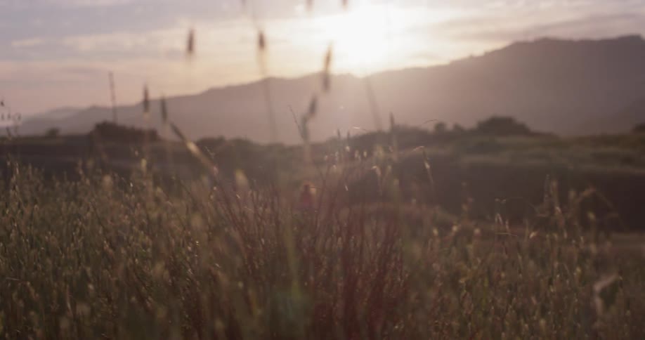 A woman walks on the hill