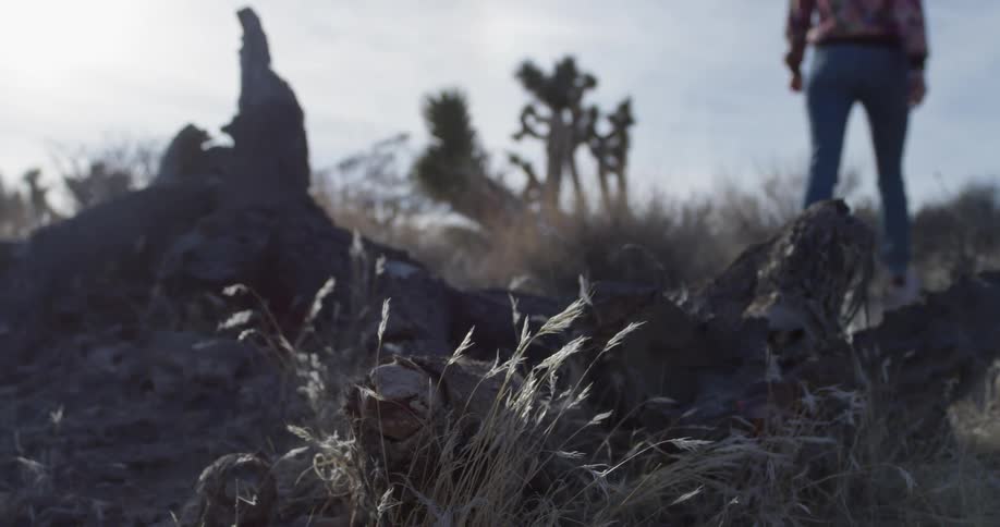 Sun shines down as a person walks through grassy hilly terrain