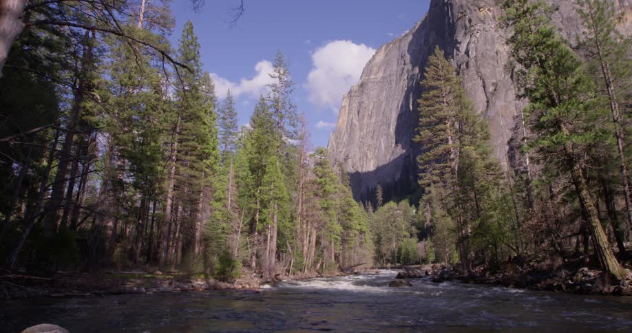 Stream flows through the woods near a tall mountain