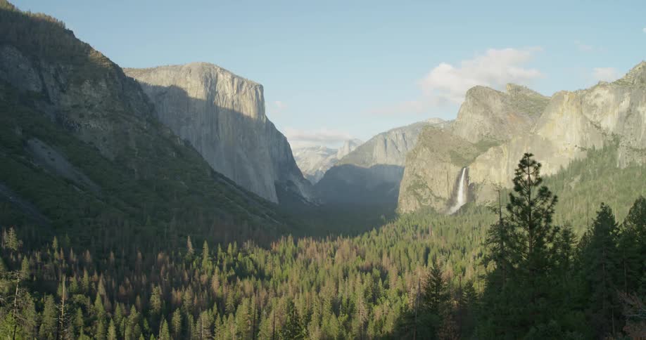 The forest surrounded the mountain range