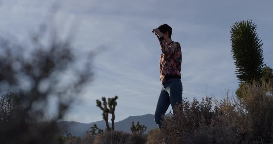 A woman looks out over the desert then walks ahead