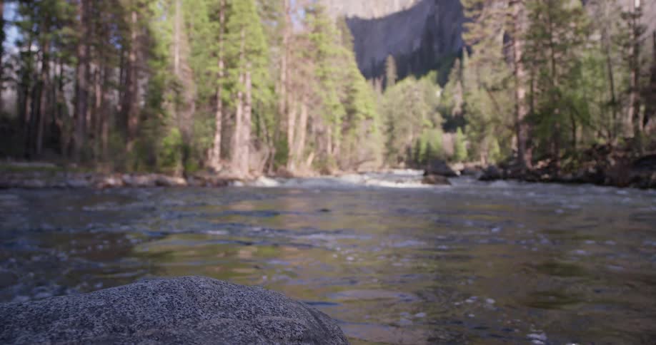 Water flows near the rocks and the trees on a sunny day
