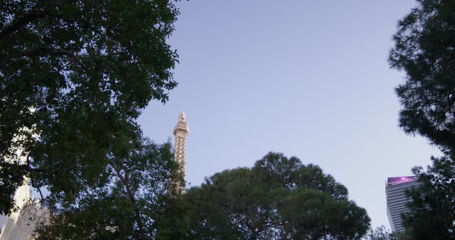 Hotel and a tower behind several tall trees