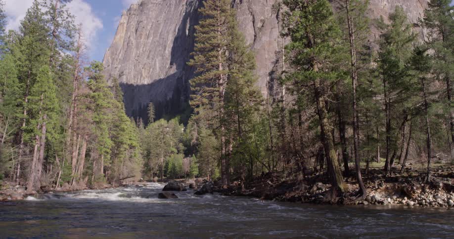 A stream of rushing water surrounded by trees in front of a mountain on a sunny day