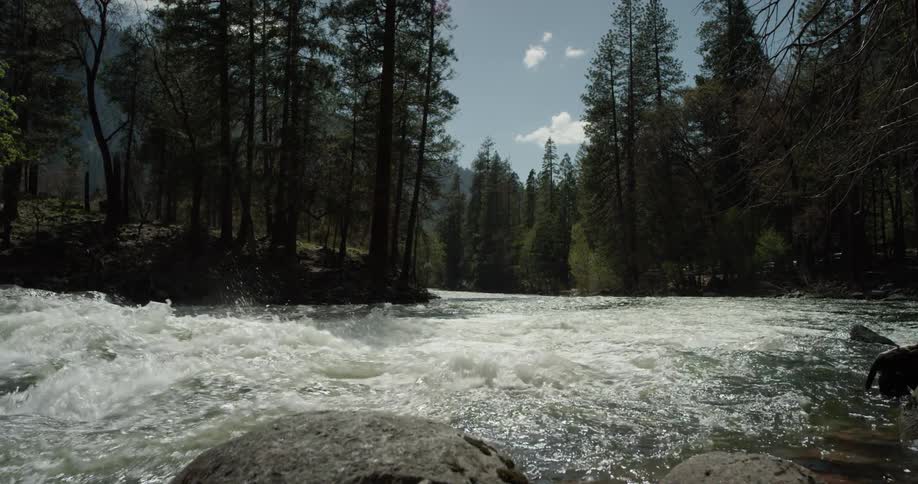 Water rushes over rocks and passes through the trees