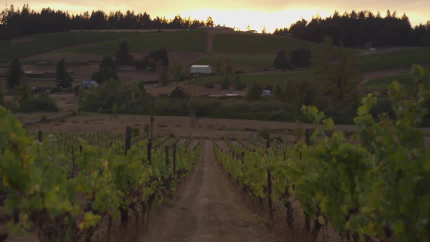Sun sets behind hills and farmland