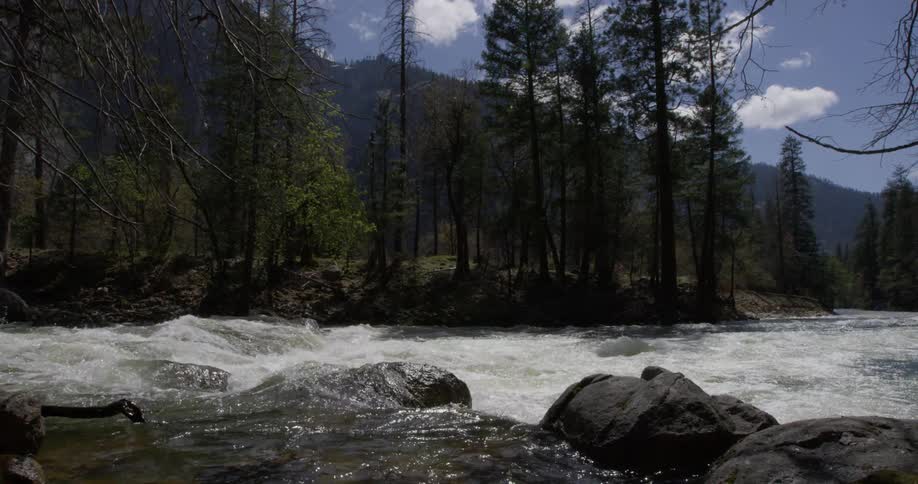 A stream of rushing water with large rocks surrounded by trees and mountains