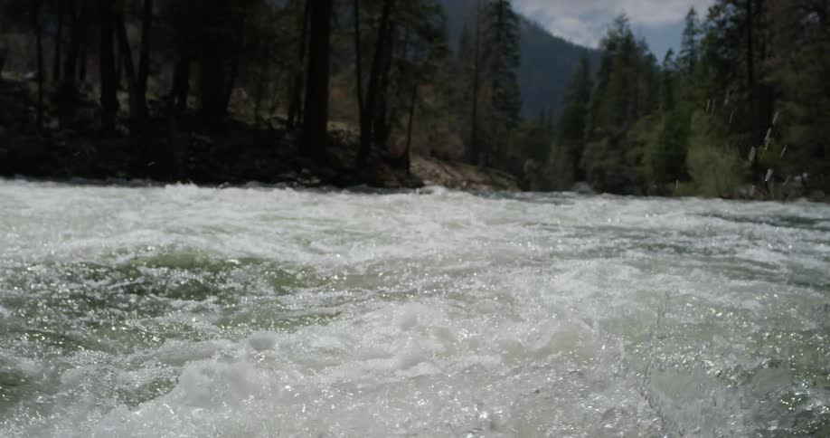 A river flows through a forest