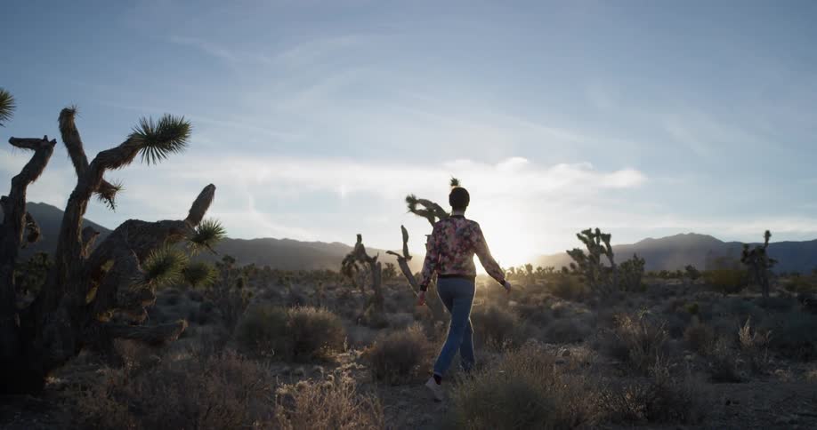 A woman walks alone in a desert at sunset