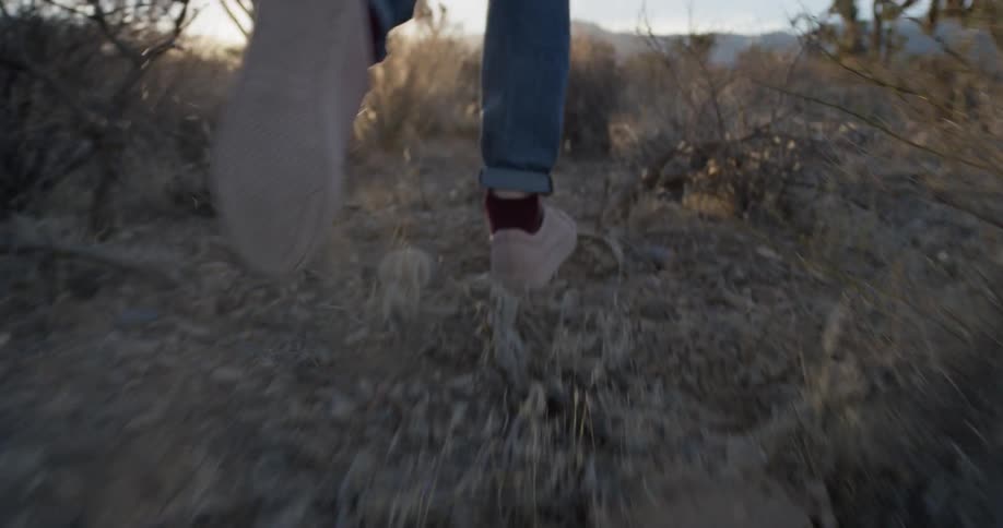 A woman walks alone in a desert at sunset