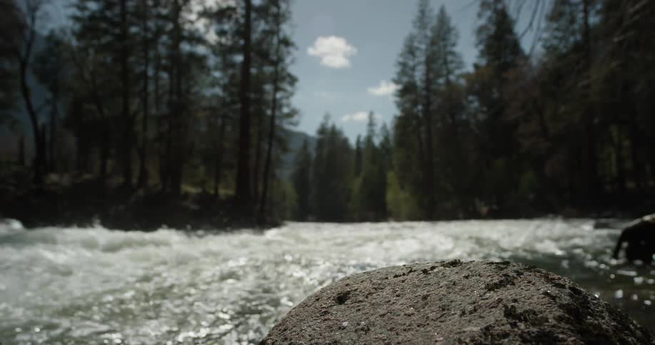 A river flows through a forest