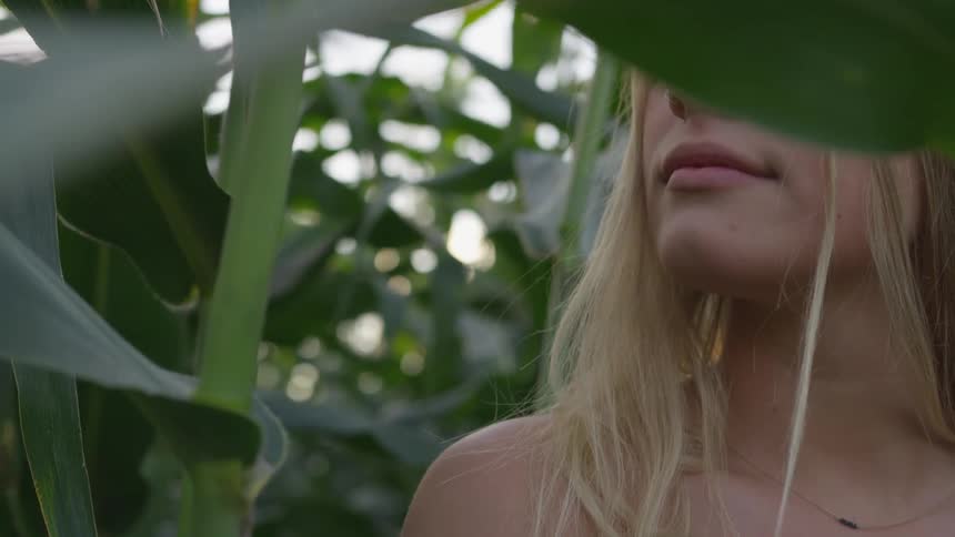 A woman stands in a corn field at sunset