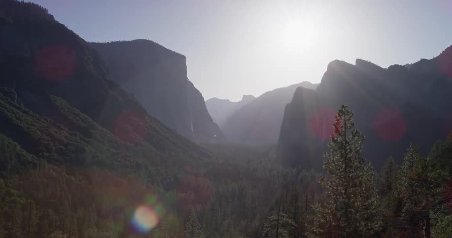 Forest of trees and large granite rock formations in yosemite