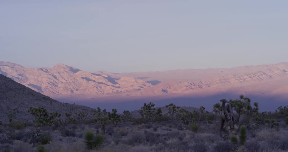 Bushy hilly desert in the evening