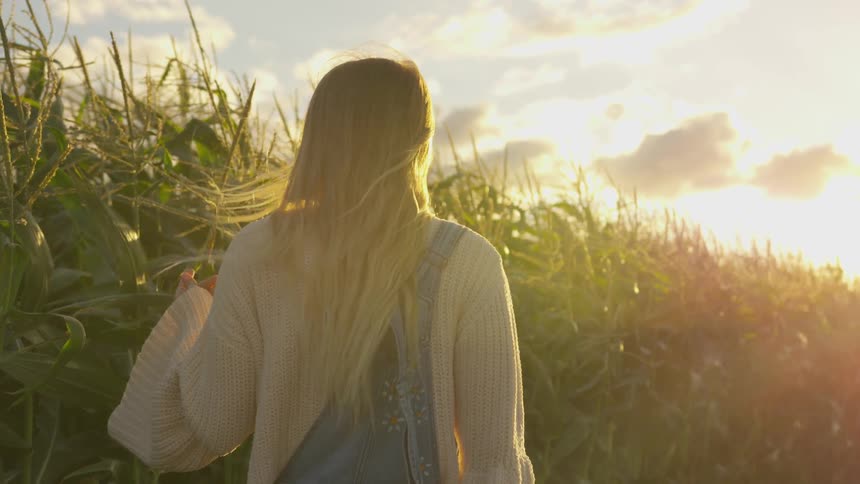 A woman touches the crops on a windy day