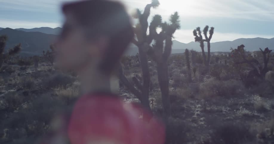 A woman stands alone in a desert