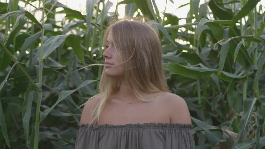 Woman stands near the green corn stalks