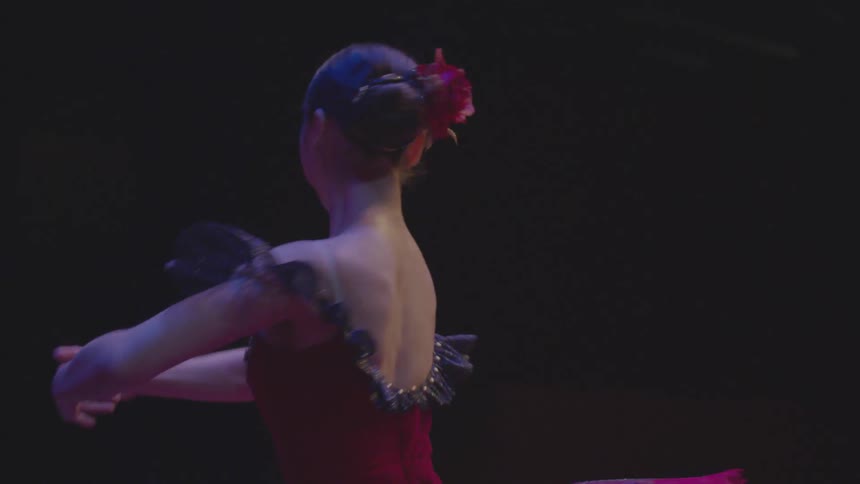 Ballet Dancers Performing