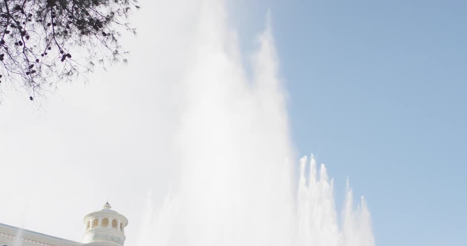 A woman stands in front of a large building with a water fountain in front