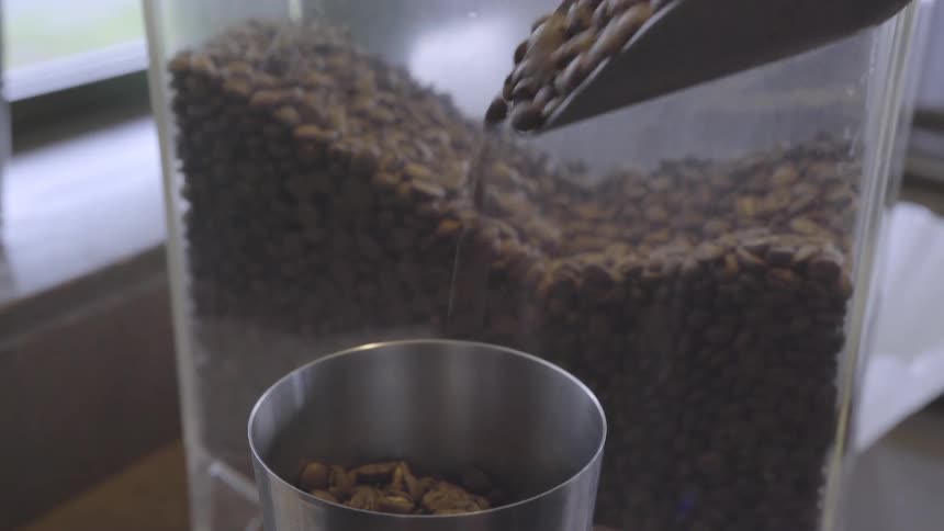 Pet food is being scooped from a container into a bowl inside in daylight