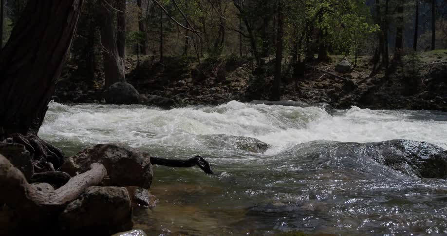 A river flows over rocks