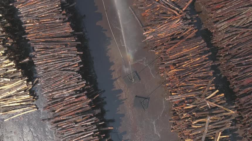 Water sprays up in between stacks of timber in a lumber yard
