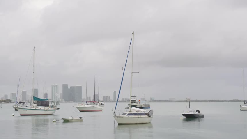 A seagull flies over anchored sailboats on a cloudy day