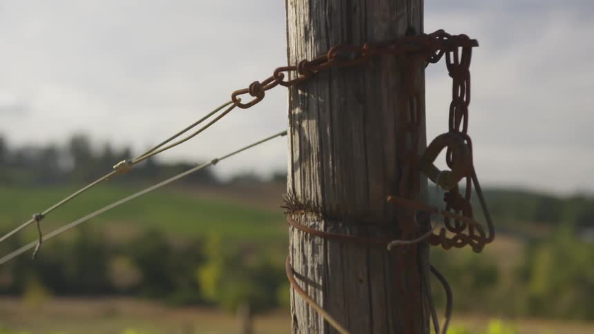 Wires suspended to a telephone pole