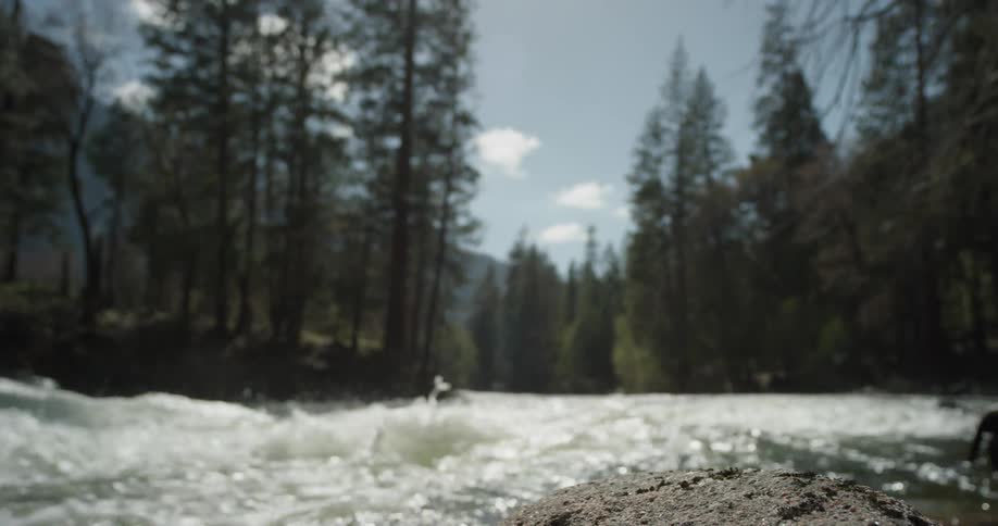 The stream is running past the trees