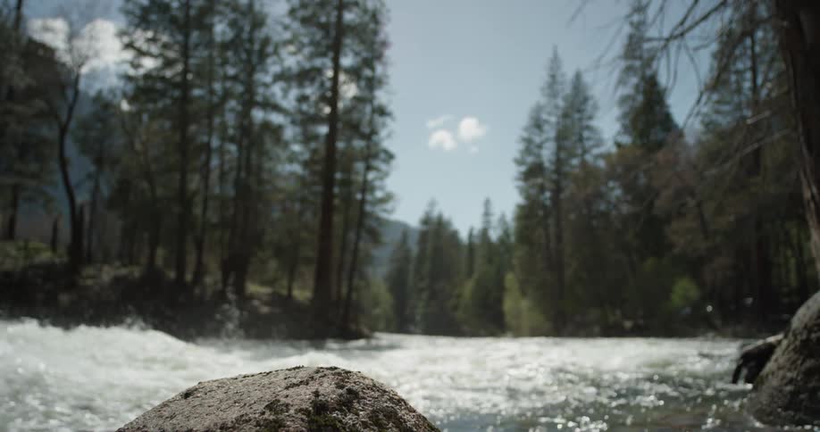 The water rages in the stream on a sunny day