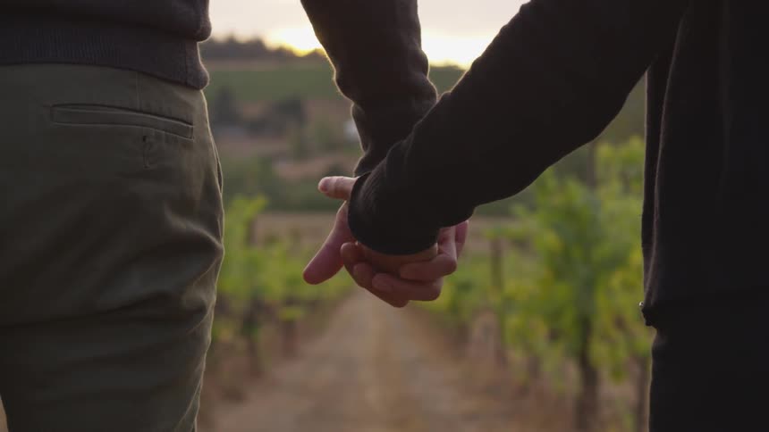 A man and woman hold hands in a vineyard