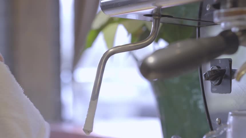 A barista in a coffee shop is making steamed milk for a coffee