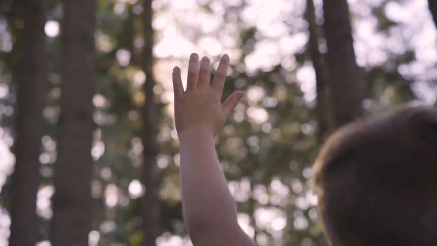 A child raises their arm in a forest at sunset