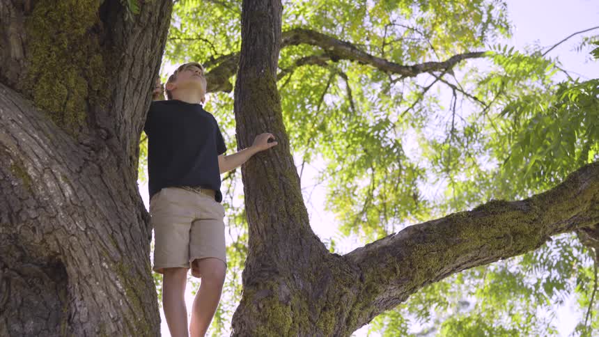 Boy Playing At A Park