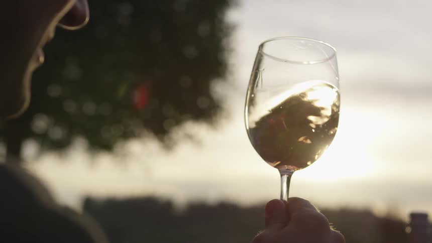 Couple At Vineyard