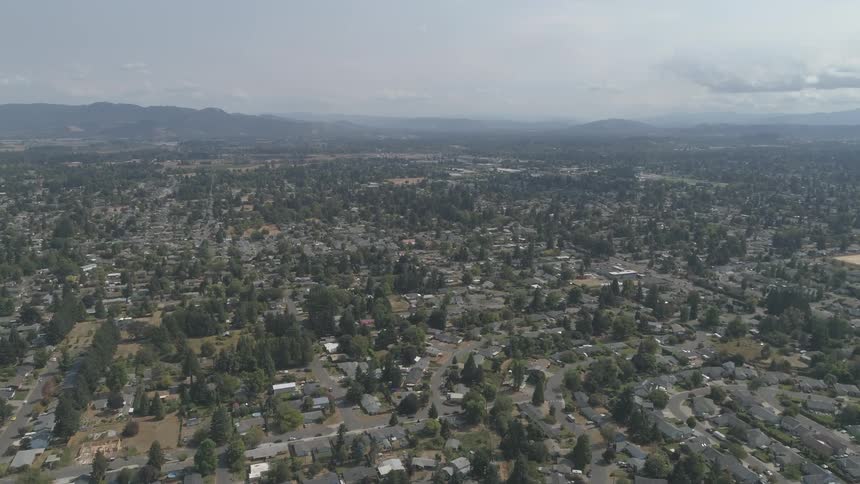 The town is full of homes and green trees
