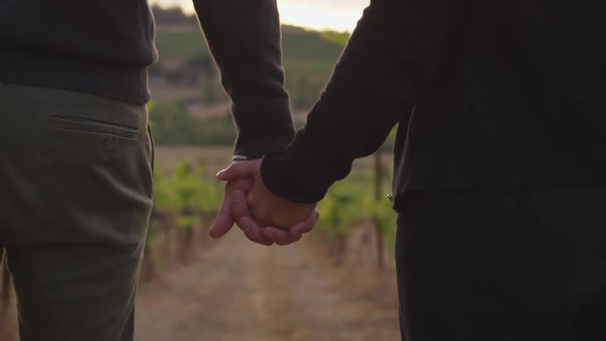 A couple hold hands as they walk in a vineyard at sunset