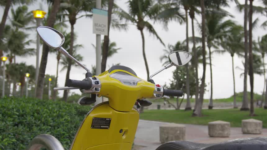The yellow scooter is parked by the palm trees
