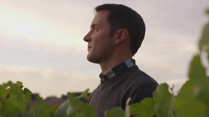 Man stands in a field of crops looking up
