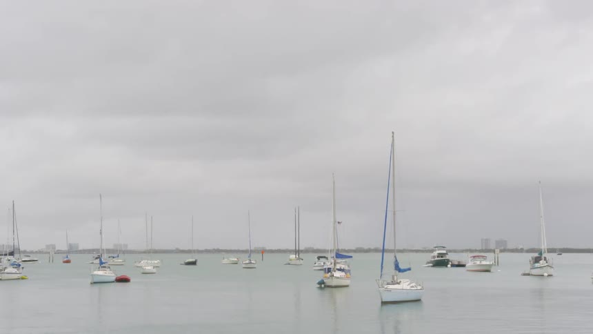 Anchored sailboats float on the ocean