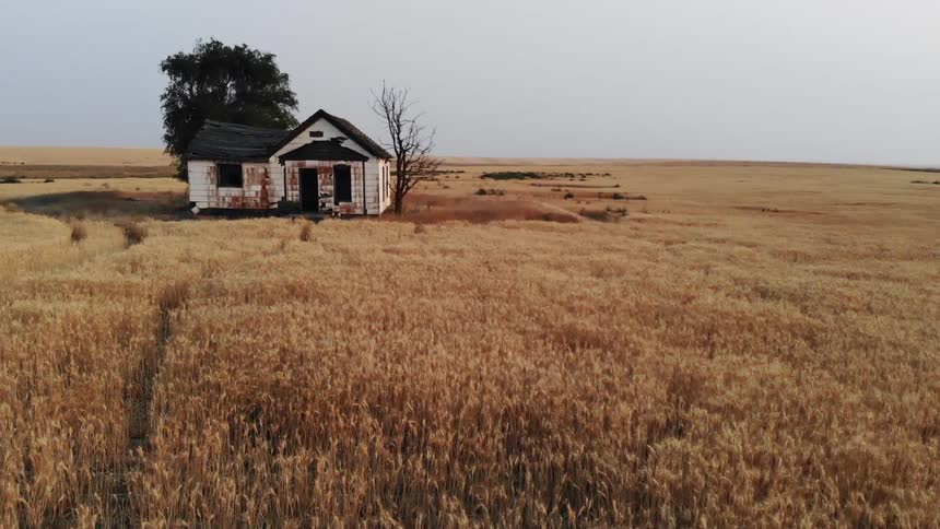 A broken down farmhouse in a field