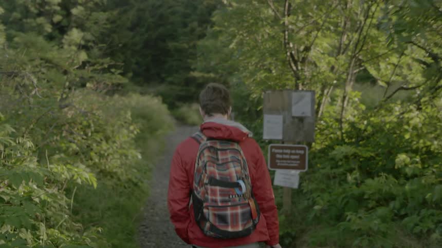 Young man walks in the forest with a backpack on his back