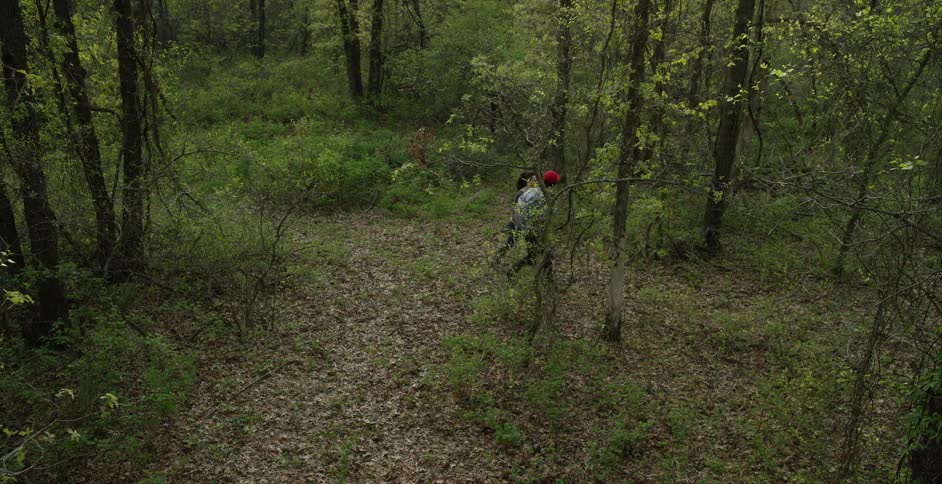 Aerial view of a couple walking in nature